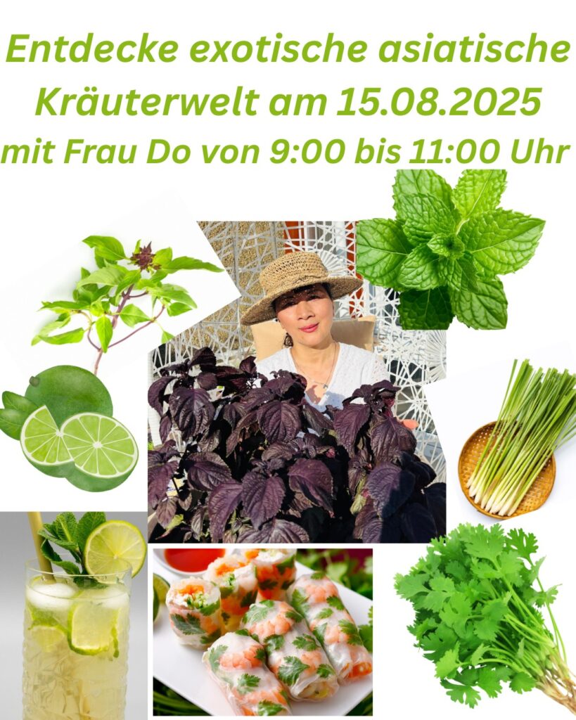 Anh WhatsApp 2025 07 11 luc 09.51.51 80054698
